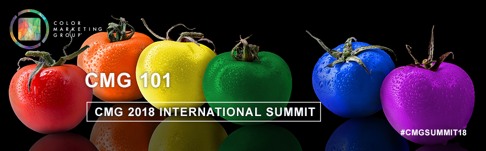Color Marketing Group's International Summit Pre-Summit Workshops