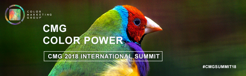 Color Marketing Group's International Summit Pre-Summit Workshops