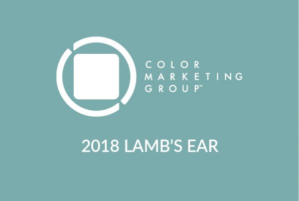 Color Alert Lamb's Ear