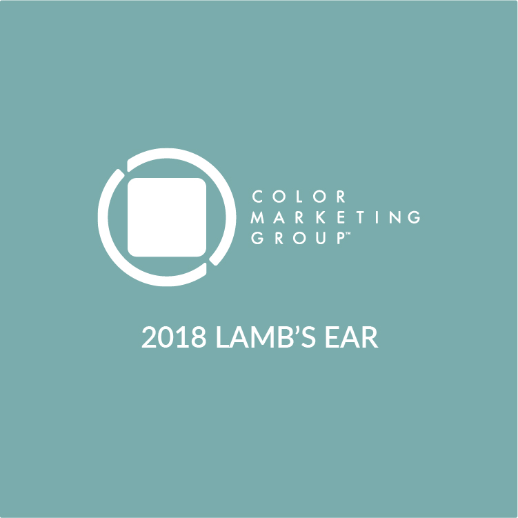 Color Alert Lamb's Ear