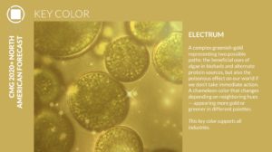 Color Marketing Group Announces 2020+ North American Key Color - Electrum