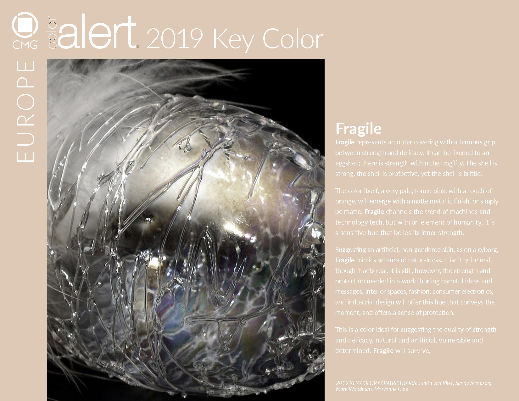 CMG Key Color 2019 Fragile