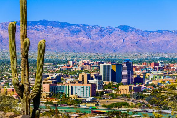 Tucson Arizona skyline cityscape framed by saguaro cactus and mountains